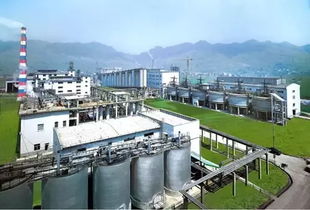 重庆机械设备巨头 引领行业发展的财富与机遇